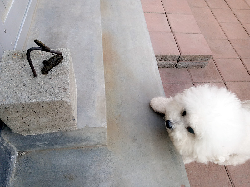 当我抬脚正要进屋时,目光突然被脚下一块顶门砖吸引了!