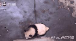 抱大腿暴富后续,抱大腿走上人生巅峰