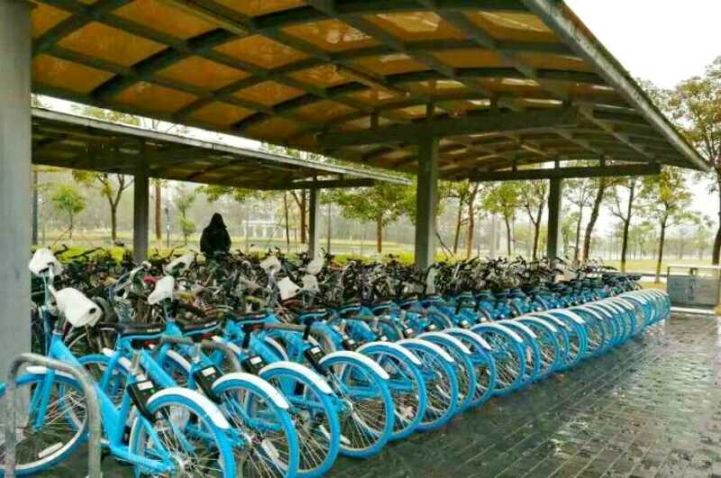 头条里找母校3｜三月油菜花开，志愿服务渐入高潮