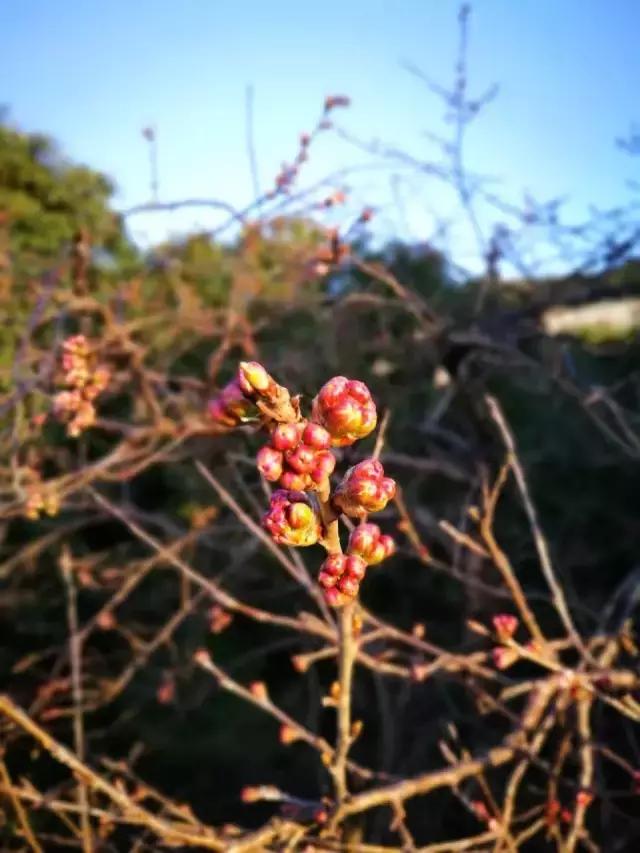 荣威i6建议买吗,试驾荣威ei6旗舰版