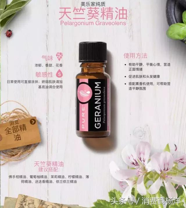 十二款精油的介绍