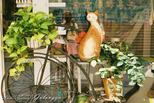 鼓浪屿旅行攻略最新,鼓浪屿旅行攻略大全