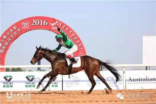 岂止比赛，更是盛会—2016内蒙古鄂尔多斯国际驭马文化节成功举办