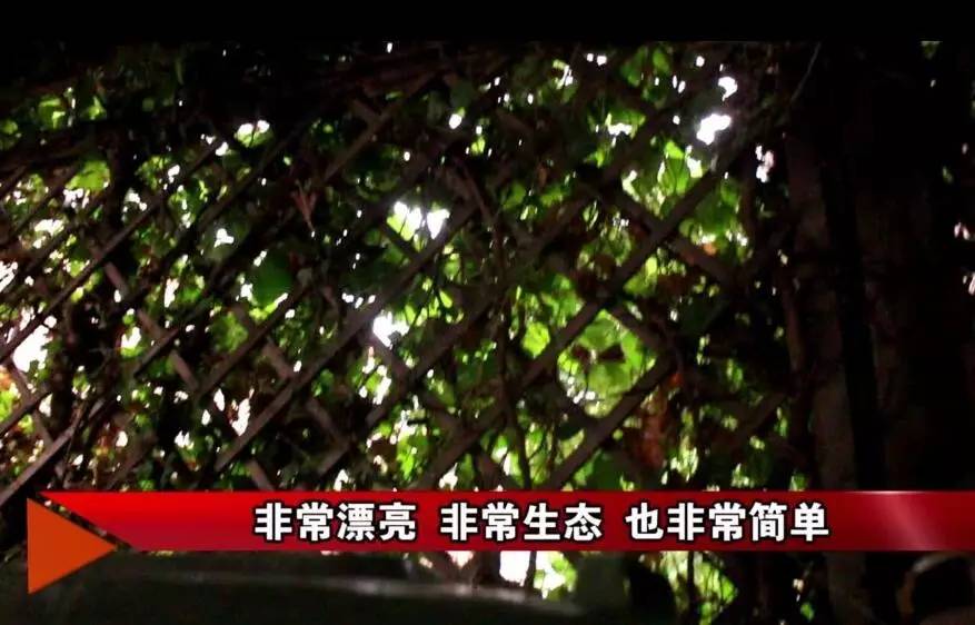 这份为了杭州的“垂直绿化”倡议书，请您查收！