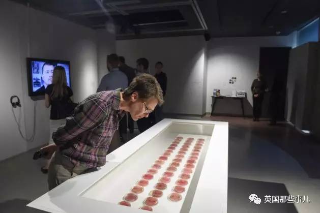 在苹果片上“种”出人耳？！这不是恐怖故事，是脑洞大开的医学新方向啊喂！