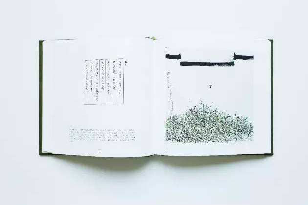 宝贝，我就是要给你诗意的人生