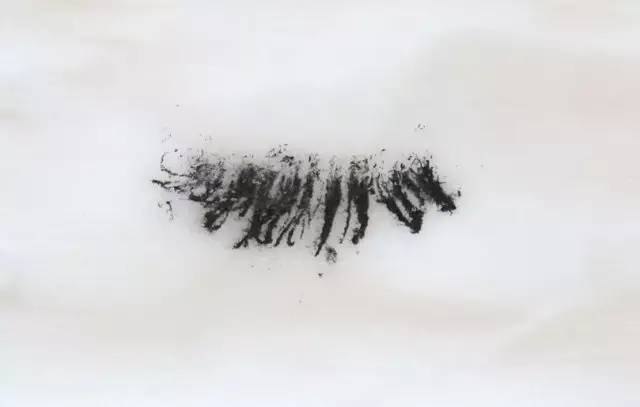 怎么卸睫毛膏不脱妆,最好用的10款睫毛膏2019