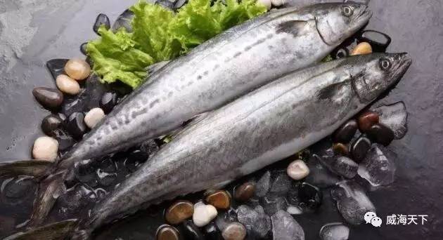 威海一月份当季海鲜,威海冬天海鲜种类