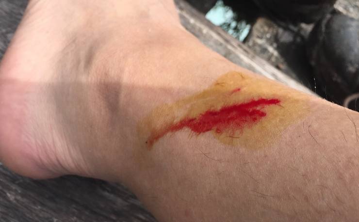 不被蚂蟥咬一次，怎能算走过墨脱｜徒步墨脱大结局