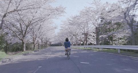 郑州航空港区周边旅游景点推荐,郑州春节周边景区免费景点大全