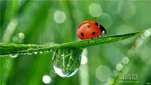 要上天的音效,乐视音响301s与屏霸的区别