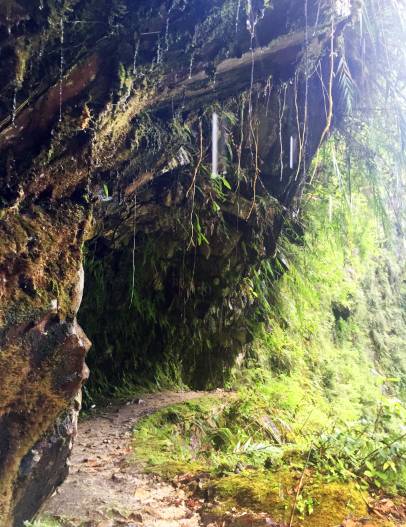 不被蚂蟥咬一次，怎能算走过墨脱｜徒步墨脱大结局