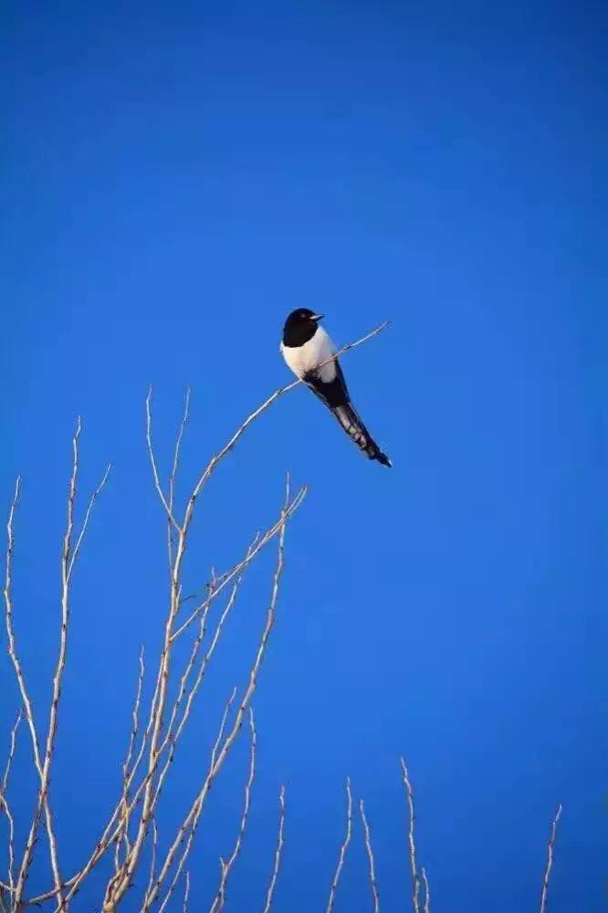 女生怎么和直男聊天女生追男生,喜欢的女孩刚发朋友圈怎么追