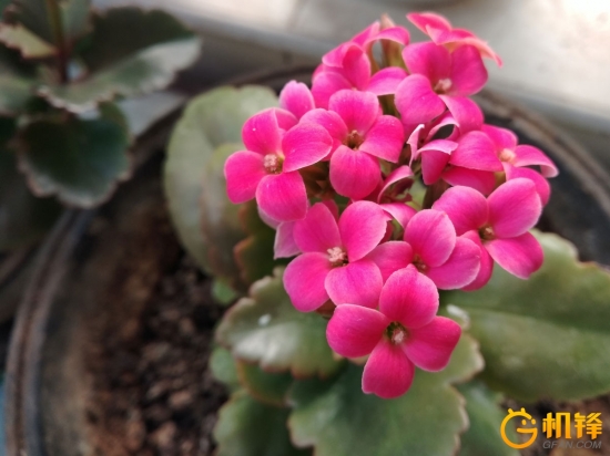 360n5手机配置测试,360手机N5配置怎么样