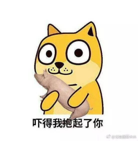 吸毒送外卖,断腿还裸贷……知乎1人分饰244角答题被封