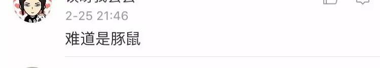 今朝上海｜闻臭师、遛娃师、衣橱整理师……这些奇葩职业的收入竟然那么高！也许你也隐藏着某些赚钱技能哦~