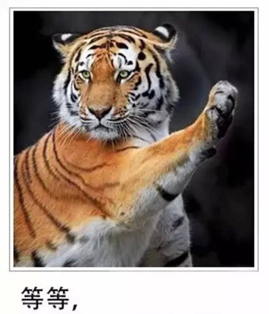 「上篇」我们和碎片跨越三个国家，奔袭4000公里