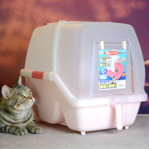 猫咪来到新家不吃不喝咋办,新到家猫咪不吃猫粮怎么办