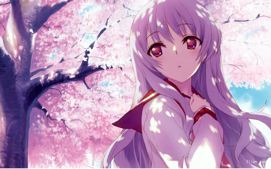 2019漫展同人展,大型漫展二次元