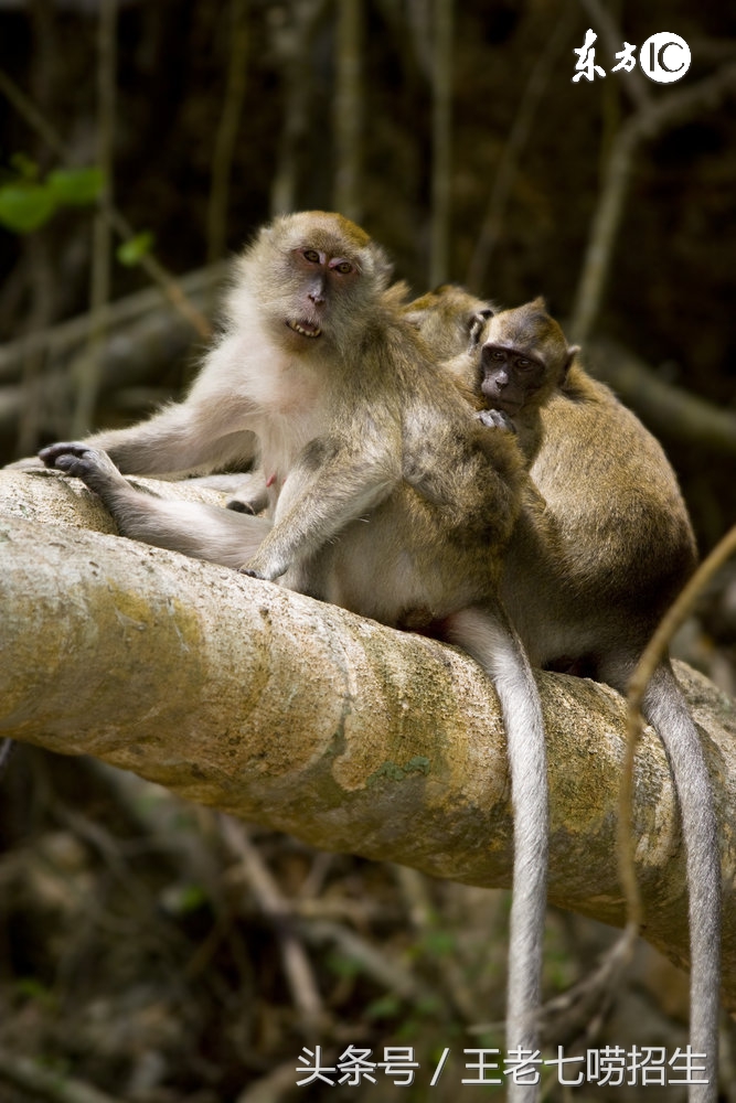 朋友之间合伙开店怎么分账,合伙开店赚钱中途退出怎么算账