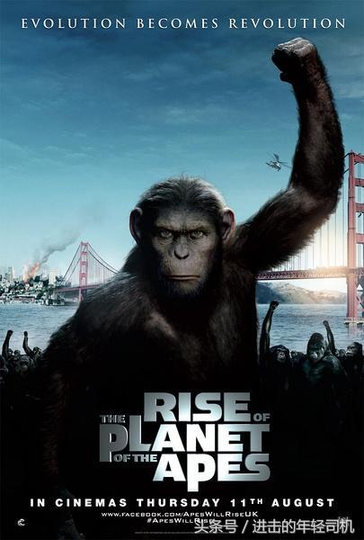 推荐十部关于人与动物的电影,值得一看的动物题材电影