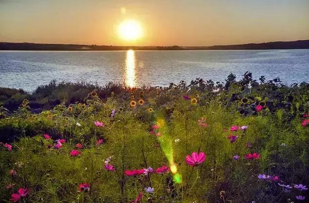 辽源最近有什么大新闻,辽源市最新严查