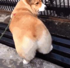 趣图搞笑,搞笑趣图