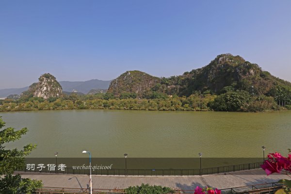 居于涟岸隐于湖,到肇庆体验离尘不离城的精致慢生活