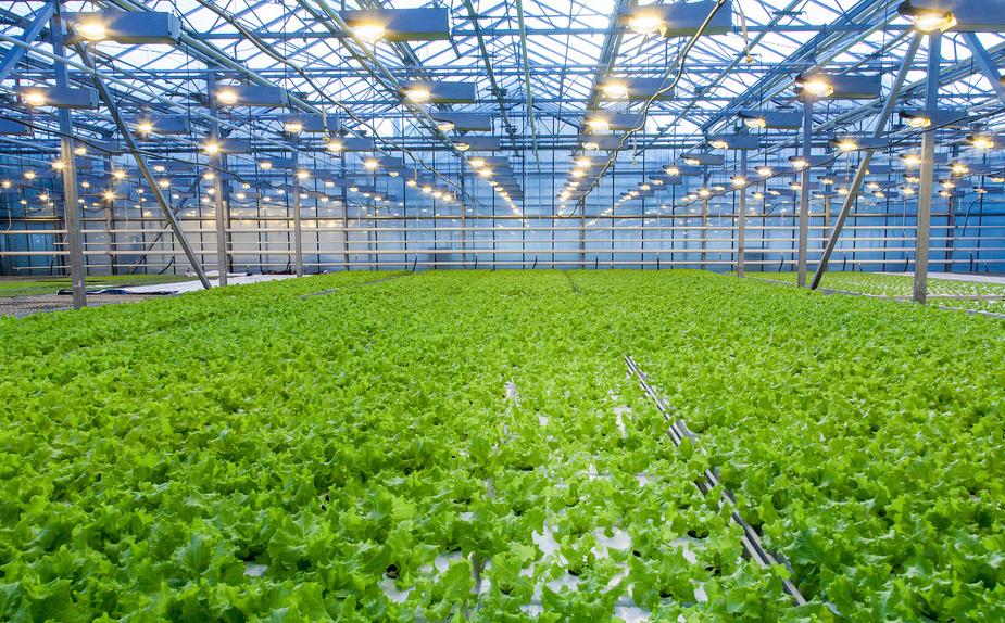 温室大棚土壤湿度控制系统设计,温室大棚是如何控制湿度