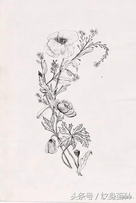 做好人还是做坏人全在自己,这就是*粟罂**和纹身