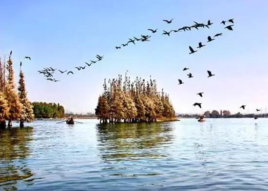 武汉野炊地点推荐,武汉周边烧烤野炊好去处