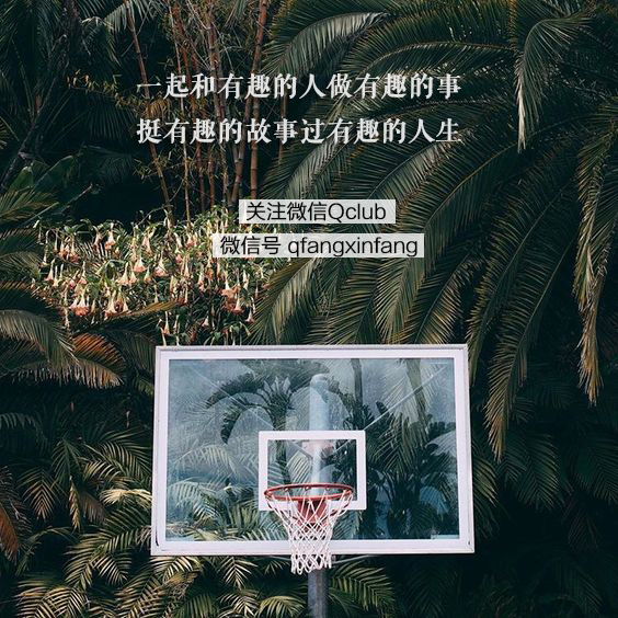 朋友圈你存在的意义,朋友圈对于人的意义