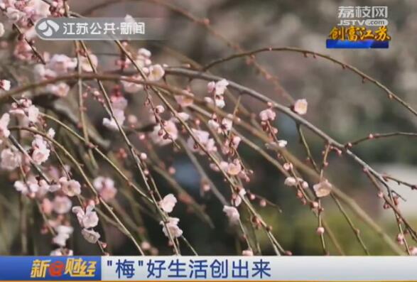创富江苏:“梅”好生活创出来