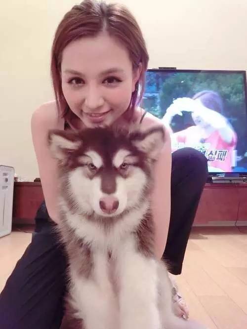 王思聪豆得儿甜蜜,豆得儿张小蒙王思聪