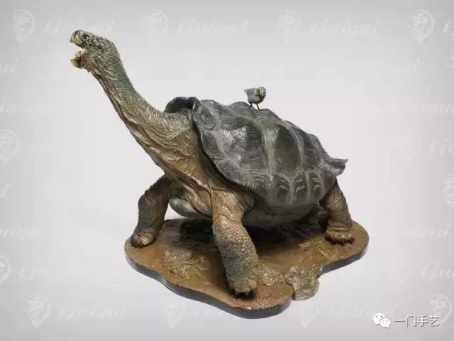 动物模型龟类,乌龟哪个模型好看