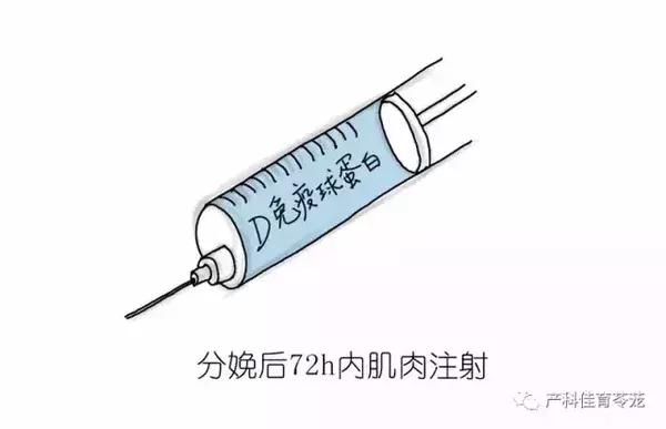 熊猫血女性是不是怀了容易流产,熊猫血的女人是不是很难受孕