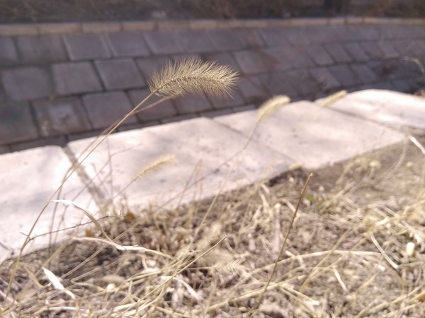 糖果手机S*评9**测6400万超清像素更清晰