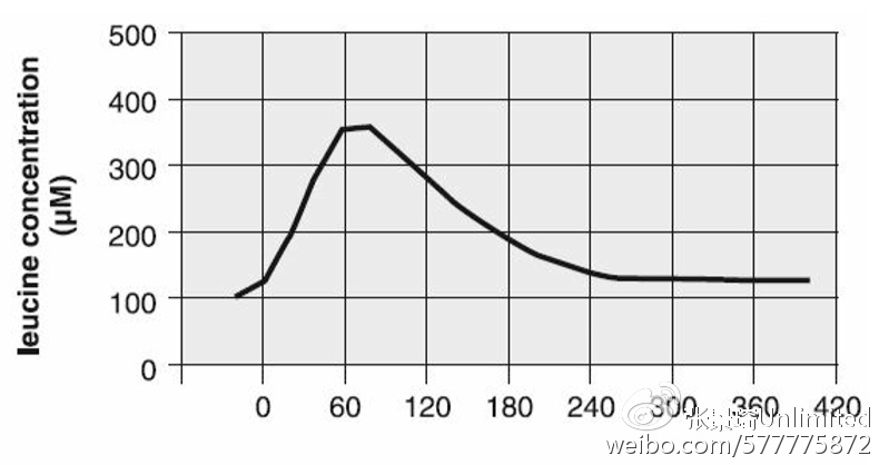 蛋粉的使用领域,蛋小粉的正确使用方法