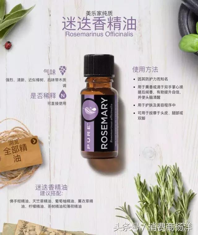 十二款精油的介绍