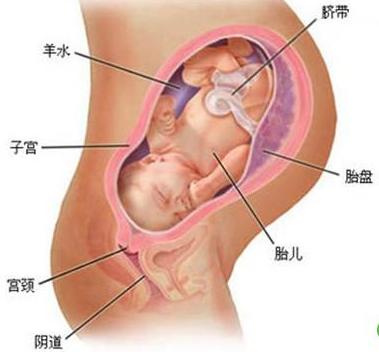 孕妇生宝宝开十指是什么意思,生孩子开十指是多大
