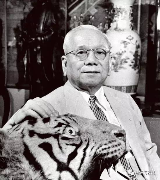 胡一虎曾子墨,胡一虎南海