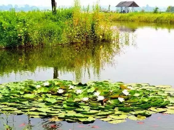 辽源最近有什么大新闻,辽源市最新严查