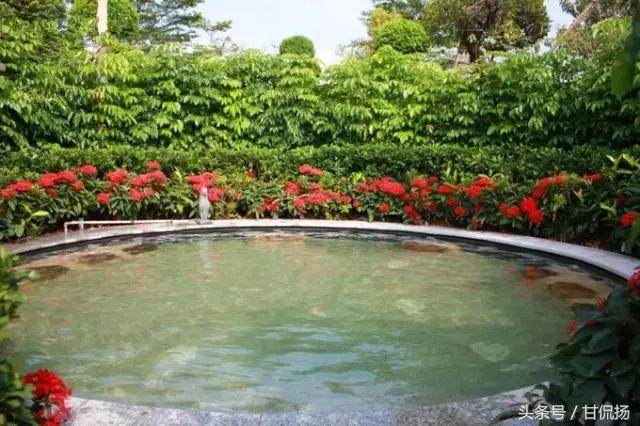 周末中山值得去打卡的地方,中山周末去耍的公园