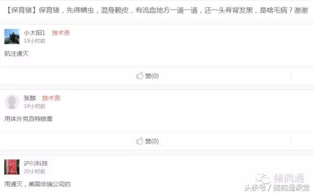 猪疥螨病和猪驱虫的有效防治方案！