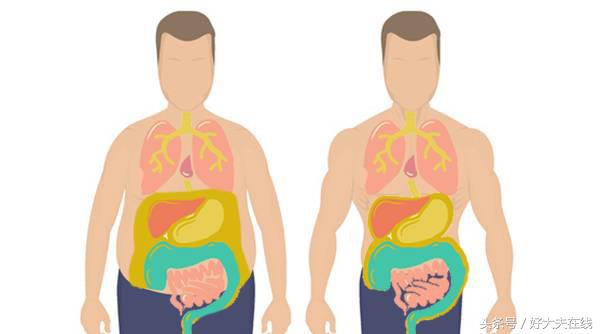 警惕被忽视的看不见的脂肪,一张图告诉你脂肪有多可怕