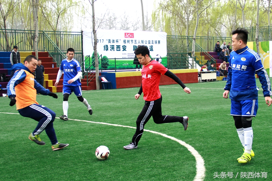 植树节以儿子的名义种下一棵树,2020的植树节在心里种下一棵树