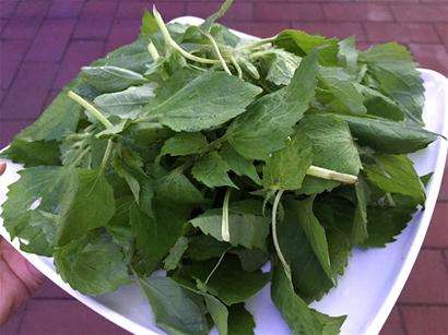 服务员不小心上错菜完整版,服务员粗心大意