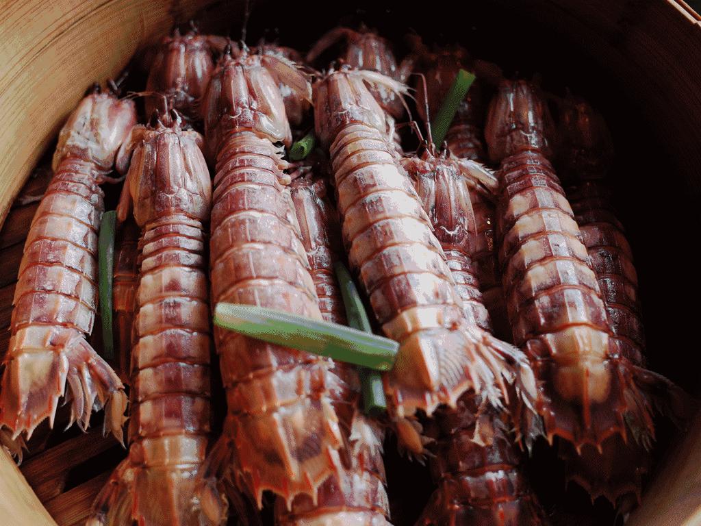 皮皮虾最美季节,又到了皮皮虾最肥美的季节