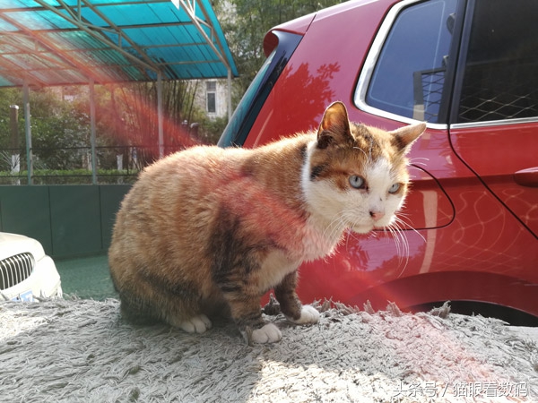 荣耀v9测评,荣耀v9麒麟960怎么样