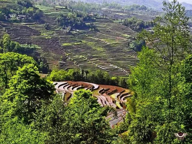 四峨梯田徒步,成都九月四姑娘山徒步一日游